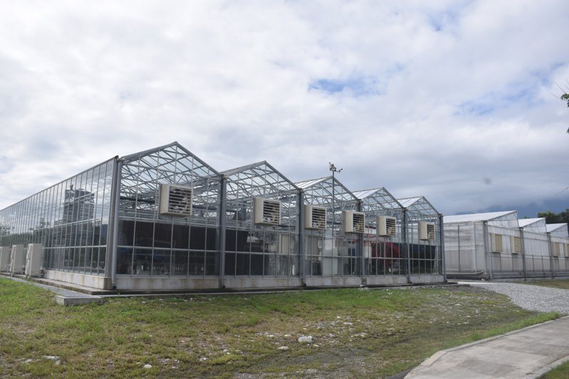 花蓮有機農業研究中心有3棟氣候變遷耐候研究溫網室，提供研究使用。記者王思慧／攝影