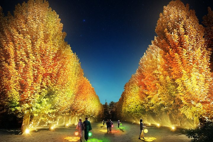 ▲懸鈴木大道在活動期間變身為夜間點燈作品「秋風」。　圖：NAKED, INC.／來源