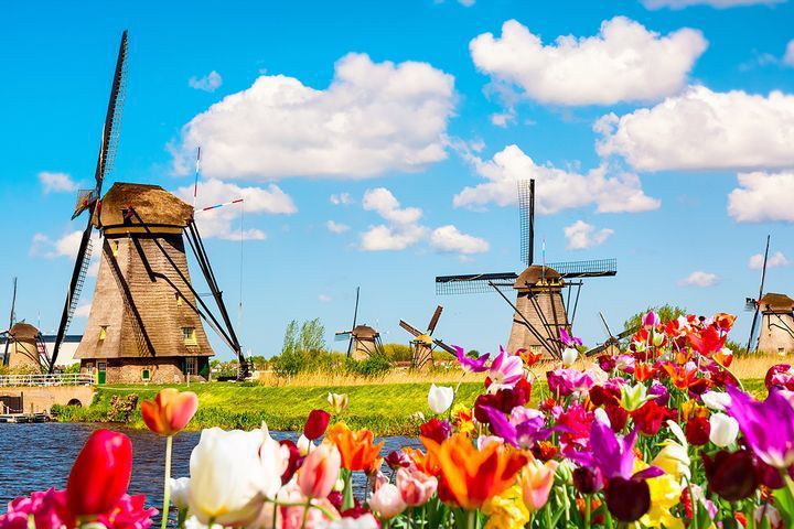 民眾可趁旅展規劃明年荷蘭鬱金香花季。　圖：金龍旅遊／提供