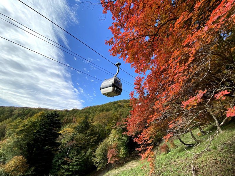 賞楓還有很棒的地點就是位於日光國立公園內的MT_jeans那須纜車。日本栃木縣台灣代理處提供