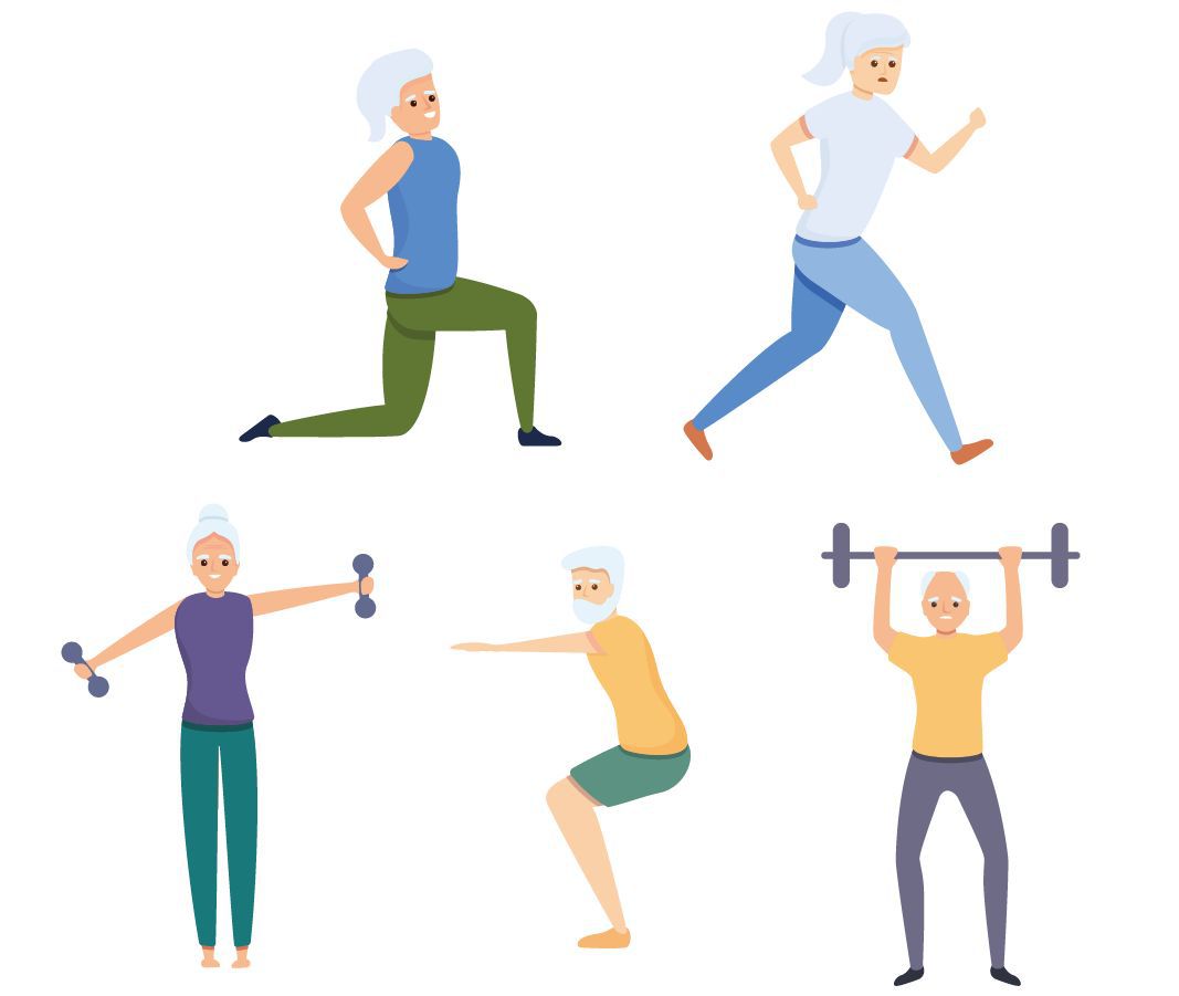 美國運動醫學會建議，老年人的運動處方應該包含有氧運動、阻力訓練、伸展活動與平衡訓練等項目。圖/123RF