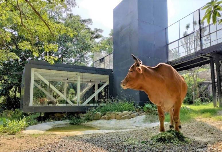 高雄壽山動物園的廊道提供遊客近距離觀察動物的空間。圖／高雄市觀光局提供