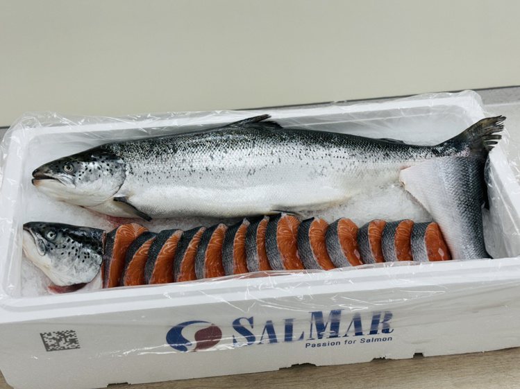 全聯更與世界最大鮭魚養殖商之一的SalMar合作，每週6班，幾乎每天產地捕撈空運直送台灣。記者黃筱晴／攝影