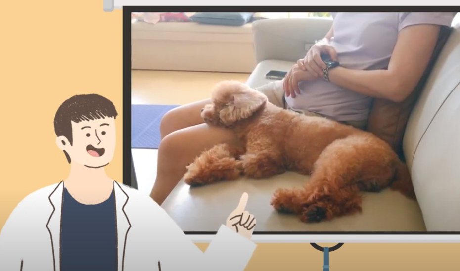 醫師教怎麼測狗狗呼吸數。圖取自YouTube