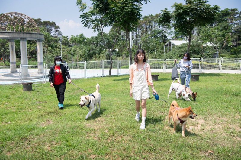 嘉義市首座專屬毛小孩東區寵物公園5月啟用。圖／嘉市府提供