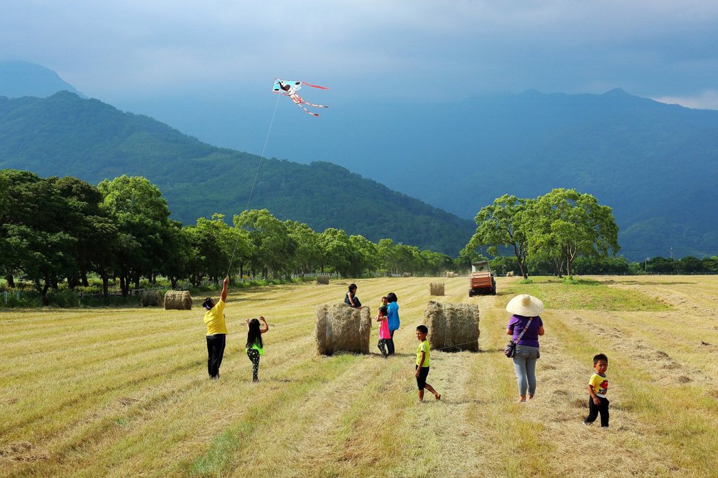 池上牧野渡假村將於11月18至19日舉辦風箏節活動，歡迎民眾來池上放風箏。 台糖...