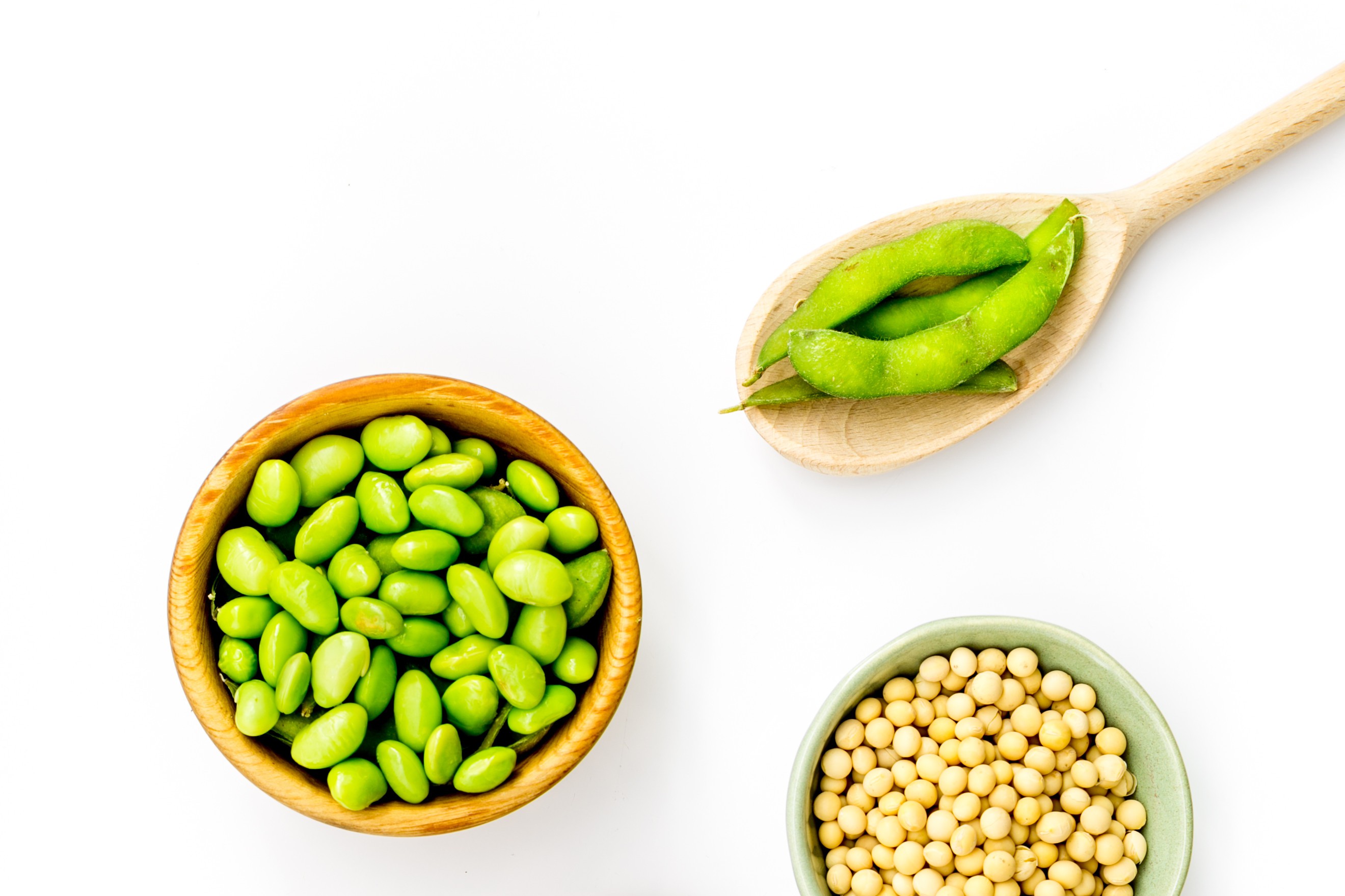 植物性蛋白質中，黃豆、毛豆和黑豆都屬於大豆類，其蛋白質含量其實與一般肉類、魚類和蛋類相當，被視為完全蛋白質。圖/123RF