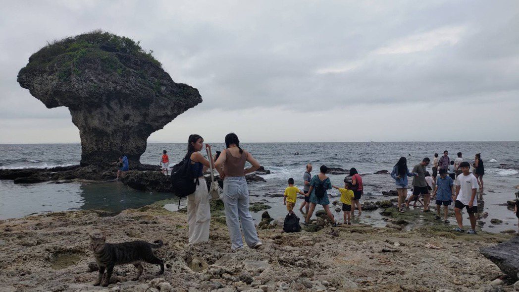 小琉球知名景點「花瓶岩」遊客眾多，但水下的海洋生態卻持續衰退。 圖／孫文臨攝影