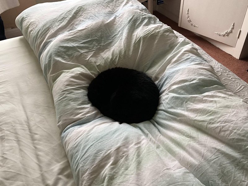 一名網友回家的時候發現床上竟然出現一個大黑洞，嚇得他趕緊拍照起來給朋友看，他上前想摸摸看黑洞是怎麼回事，沒想到竟然是自家黑貓的偽裝。 (圖/取自Reddit)