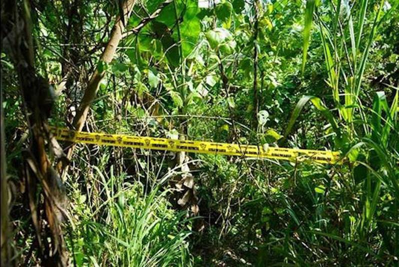 馬來西亞發生恐怖姦殺案，1名36歲外籍女子被發現半裸陳屍離家600米的香蕉園叢林。（網上圖片）
