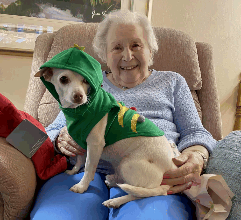 約翰娜在100歲決定認養狗狗，最後幸運和「麵疙瘩」配對成功，生活變得更加快樂。時圖擷自MUTTVILLE SENIOR DOG RESCUE/The Dodo