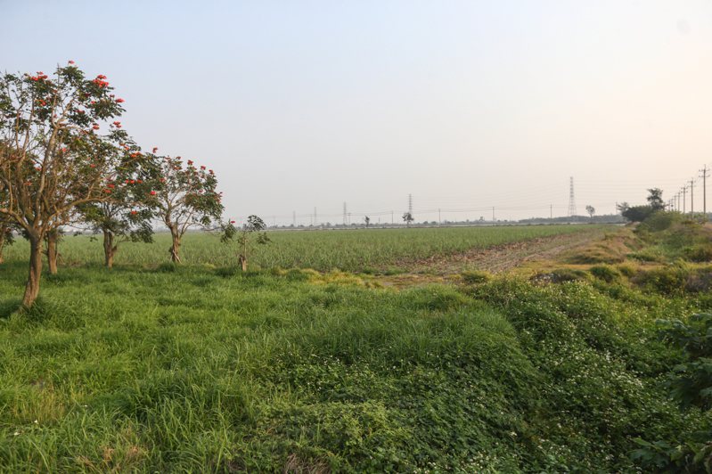 彰化縣二林精密機械園區目前仍是農業用地。記者黃仲裕／攝影