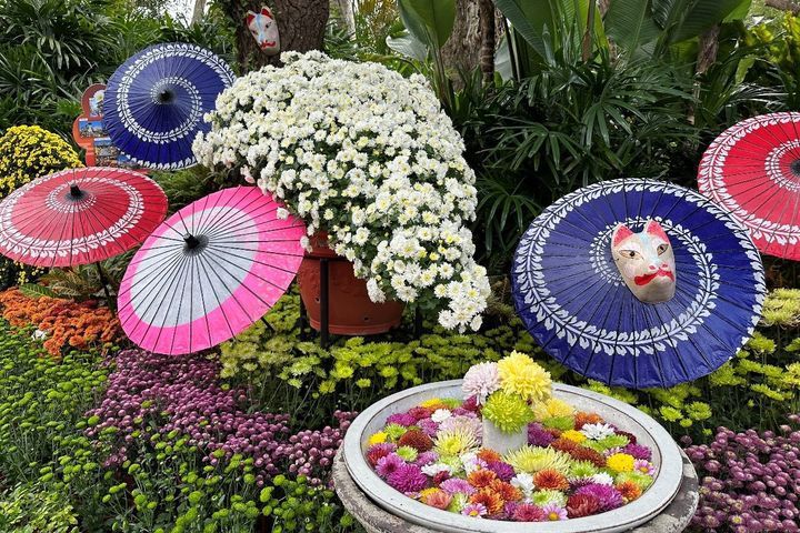 ▲以和傘、狐狸面具、菊手水呈現日本笠間菊花節的意象（2022資料照）。　圖：臺北市政府工務局／提供
