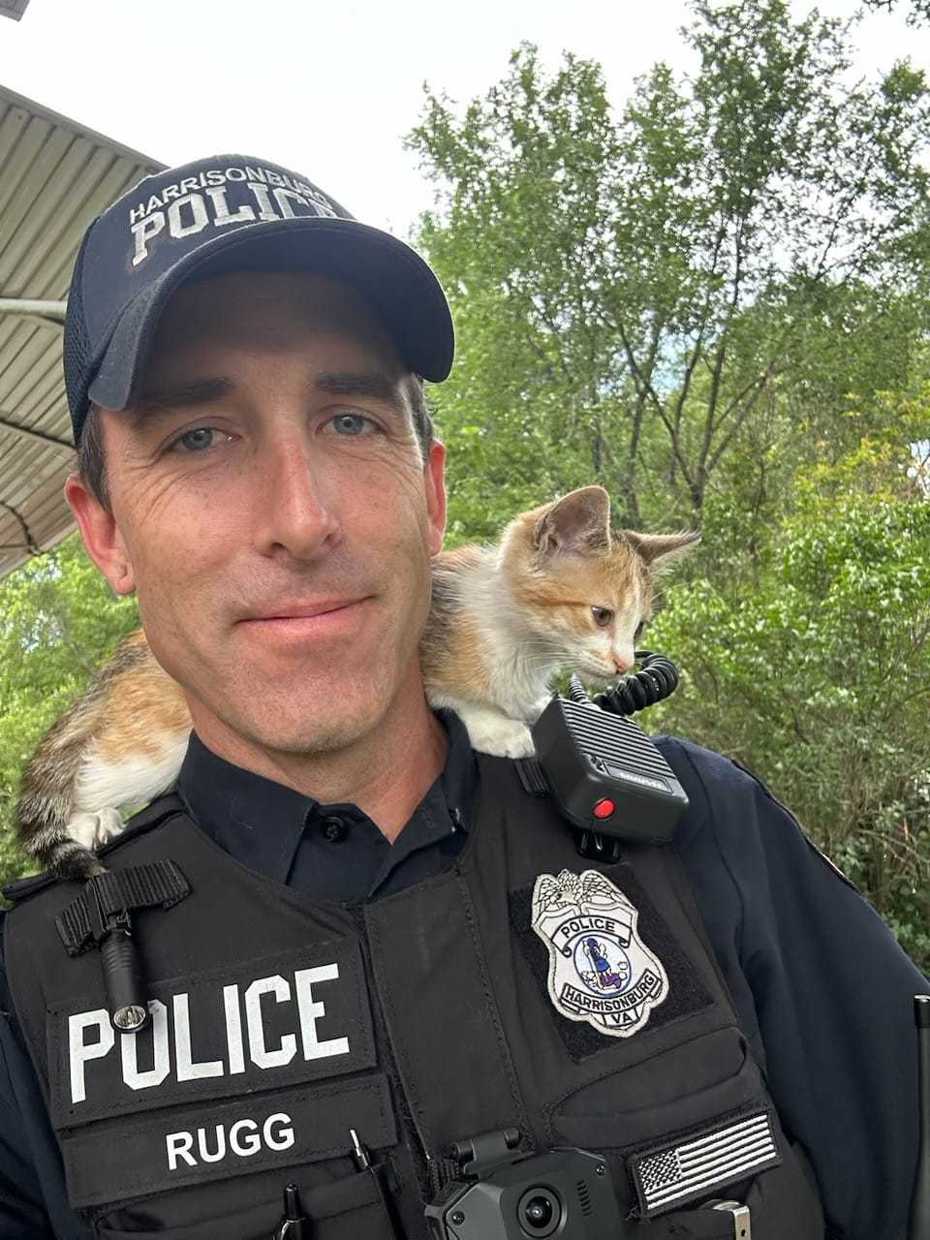 貓咪逃過一劫順利被收編，成為警局最萌拍檔。圖擷自臉書/Harrisonburg Police Department