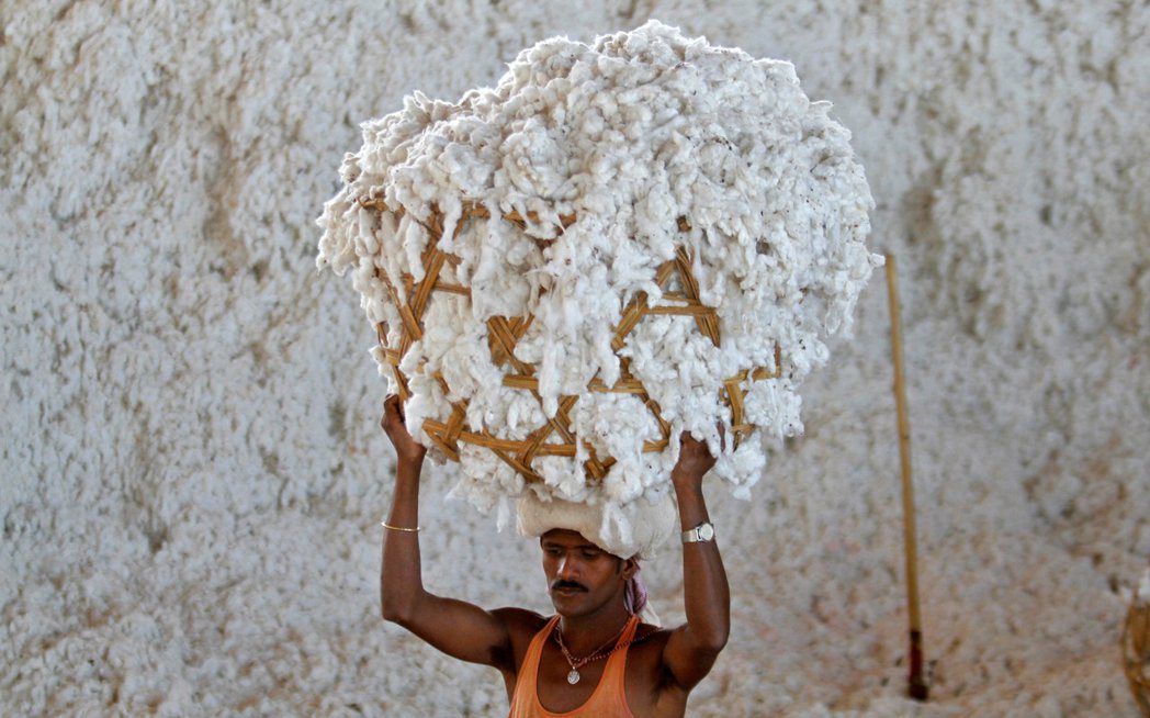 英國殖民時期，為了將印度打造成原棉產業，英國要求印度農民拋棄紡織業、種植棉花，摧...