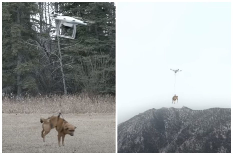 無人機失控把狗狗載走，影片真實性遭到質疑。圖取自YouTube