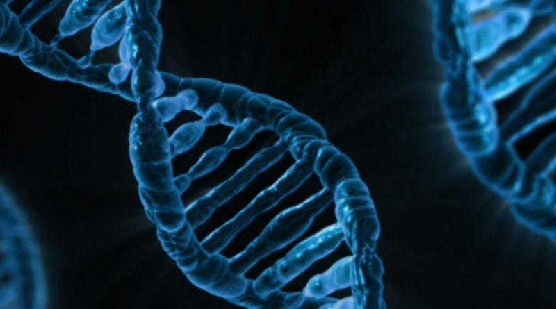醫學界長期研究基因的表現，發現除了演化適應環境之外，也常帶來意想不到的副作用。（網路截圖）