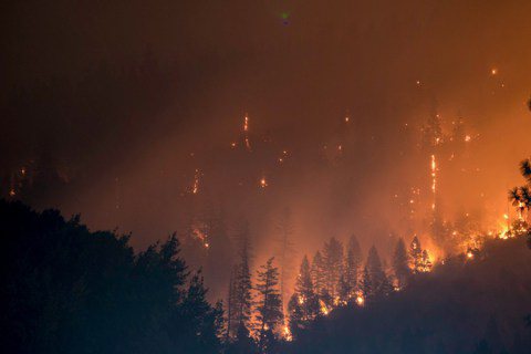 歐盟執委會發布數據，去年歐洲森林野火危害嚴重度是有統計以來第二糟。 圖／unsp...