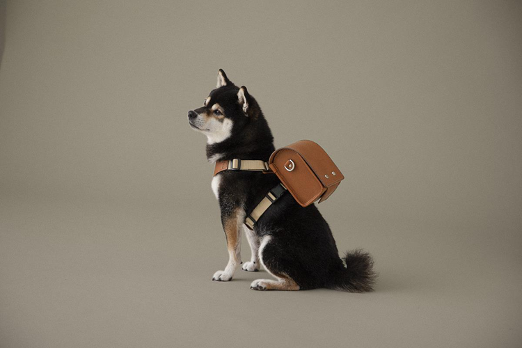 TSUCHIYA KABAN Home Collection系列寵物知己書包在設計時考量到寵物的體型，採輕巧設計減輕背負的負擔，採用品牌經典皮革所製成。圖／TSUCHIYA KABAN提供