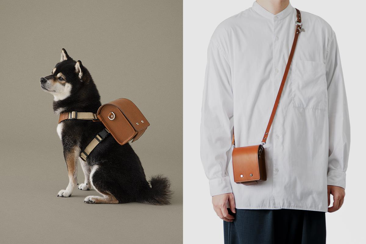 日本皮具品牌打造毛孩專屬「書包」可愛炸裂！貓奴、狗奴也可以背