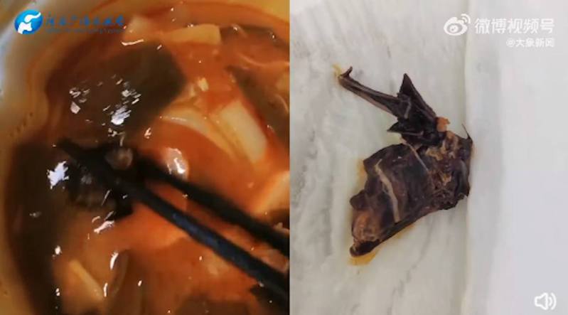 女子在超市購買的楊國福麻辣燙自熱鍋中吃出蝙蝠。（影片截圖）