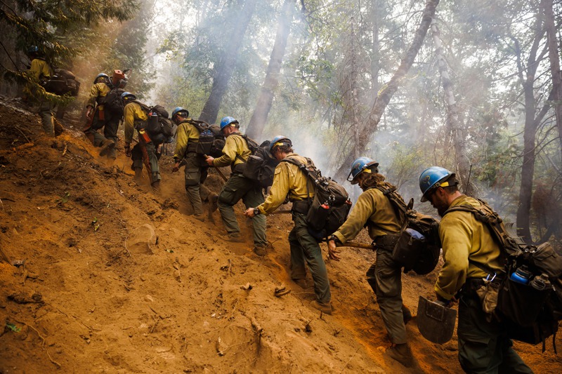 全美有100多組專為因應森林野火而設的塔拉克熱點隊。圖為去年9月，一組隊員在加州森林山爬坡。紐約時報