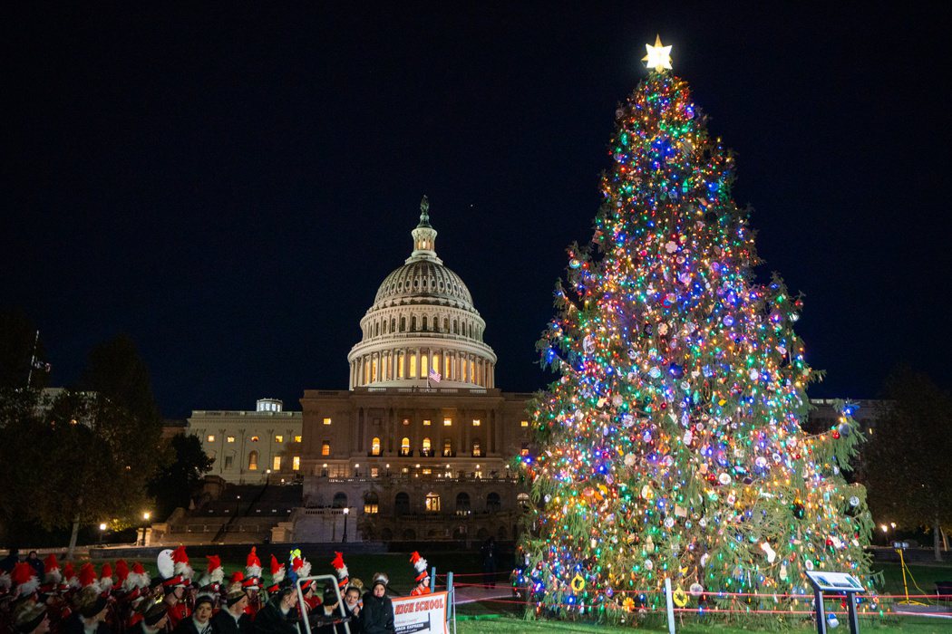 28日被吹倒的白宮國家耶誕樹兩周前才種下。歐新社