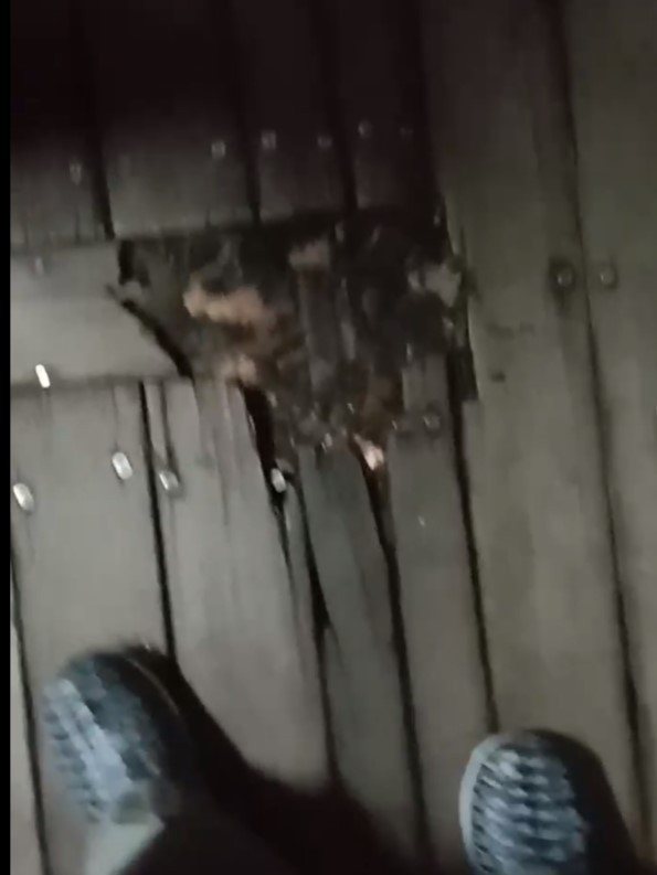 旗津鄉親上網發文表示，舊渡輪的甲板木板損壞，釘子掉了，騎車壓過去都翹起來。圖／翻...
