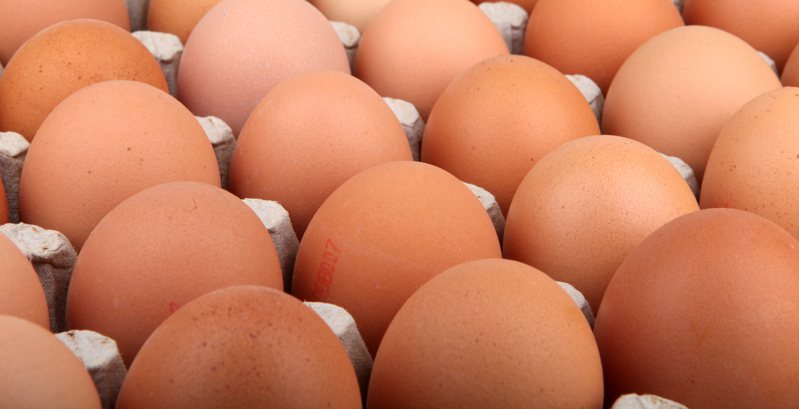 日本禽流感疫情連環爆，由於發生禽流感的養雞場內所有蛋雞都須被撲殺，勢將造成蛋價上漲。示意圖／ingimage