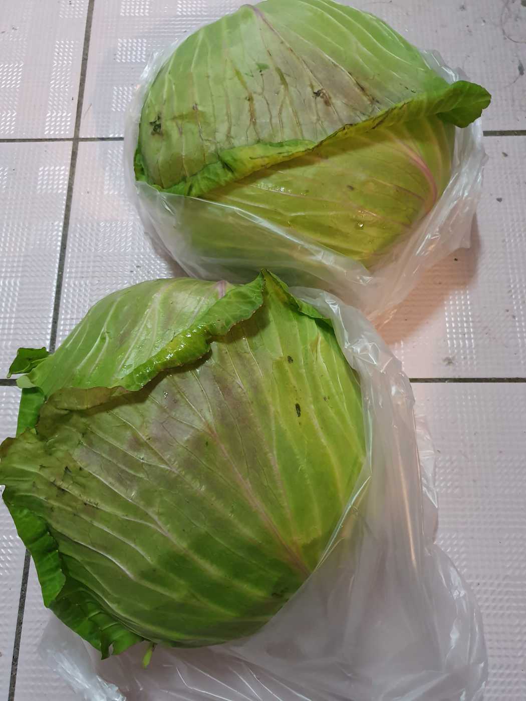 高麗菜在台北零售市場掉得很快，上周每台斤仍到45、49元，今日一顆高麗菜50元，...