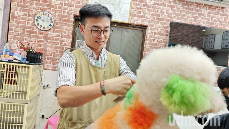 台灣寵物商機一年高達數十億元，且產業規模逐年升高，寵物達人蕭智元表示，這幾年確實有不少年輕人想要投入寵物美容這個行業。記者劉學聖／攝影