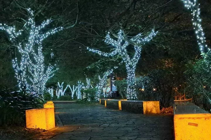 樹上也布置上美麗的燈飾，為冬夜點燃溫馨氣氛。 圖／礁溪鄉公所提供