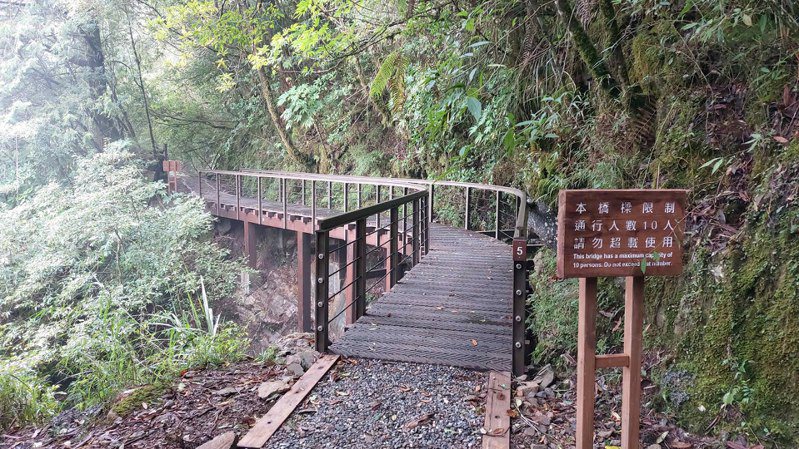 嘉義縣阿里山鄉特富野古道去年6月起整修沿線13座橋樑，10月20日全線開放，提供遊客更安全的登山環境。圖／嘉義分署提供