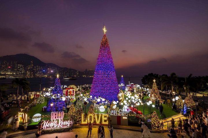 香港繽紛冬日巡禮「巨型聖誕樹」登場 綻放全新聖誕限定煙火
