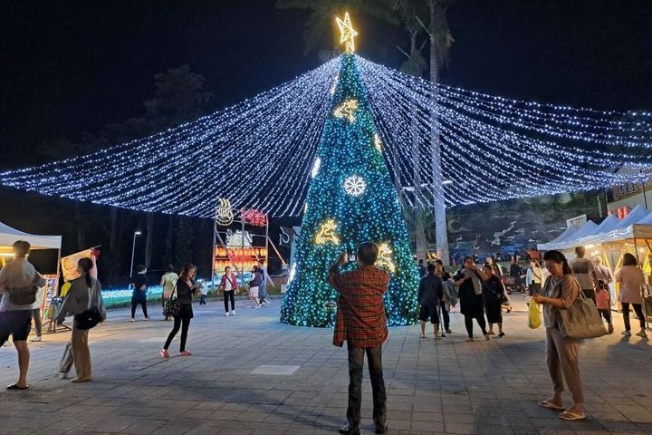 9公尺巨型聖誕樹現身在知本溫泉區忠義堂前廣場。　圖：台東縣政府交通及觀光發展處／提供