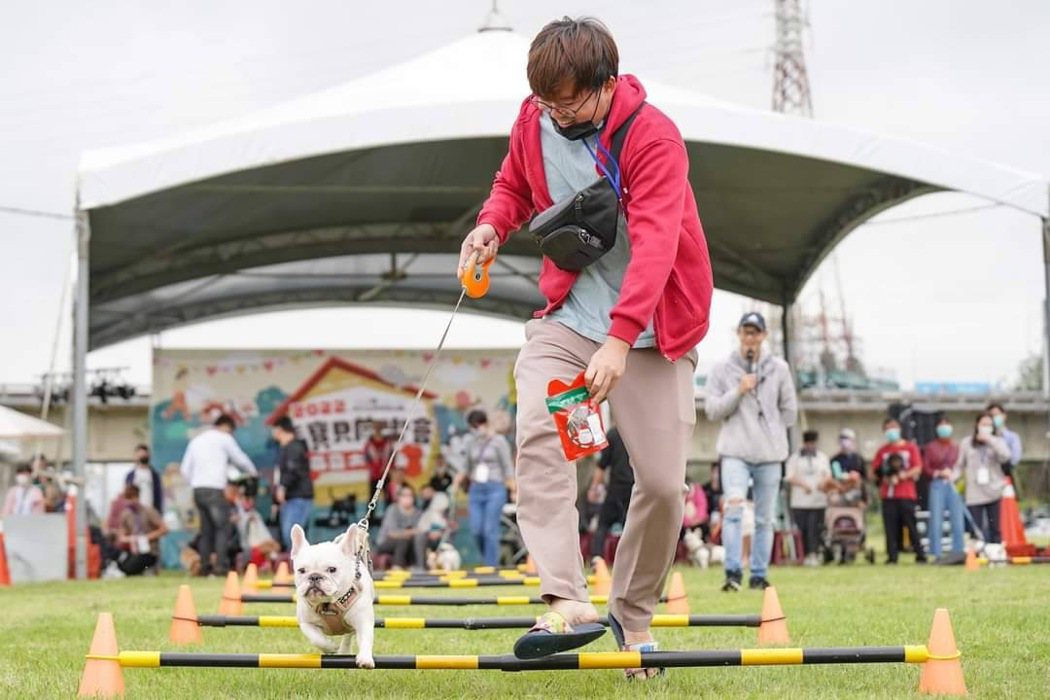 新竹市政府9日將在樹林頭公園舉辦一年一度的毛小孩運動會，安排狗狗趣味競賽等活動。...
