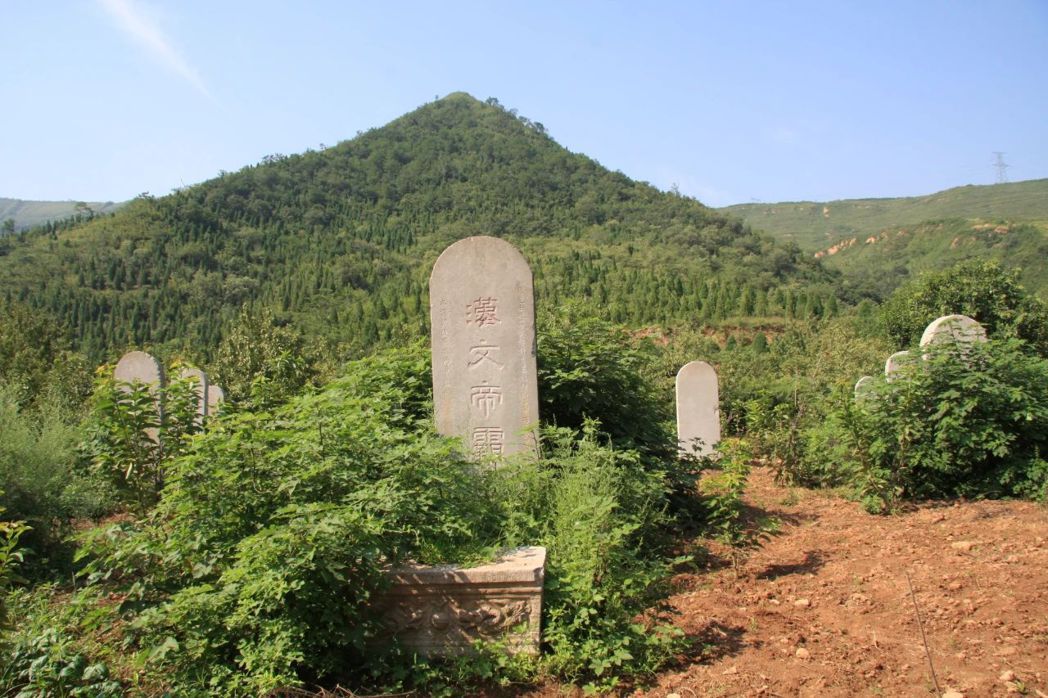 漢文帝霸陵的動物殉葬坑，被視為是2023年全球十大考古發現。（圖／取自文物陝西微...