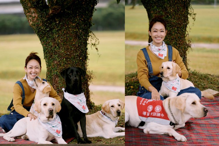JINS和台灣導盲犬協會推出限量聯名商品「毛孩&主人同款方巾組」，還找來...