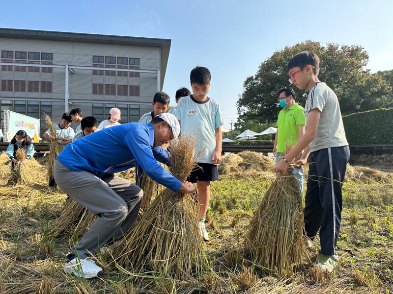 台中市車籠埔國小學童，下午也受邀到場體驗「堆草垺」的農村活動。圖／山水米公司提供