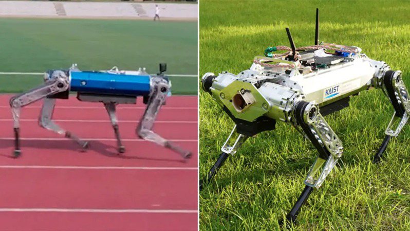 一款名為「HOUND」的機器狗以耗時19.87秒跑完100公尺的成績，創下四足機器人最快的紀錄。圖／擷自「金氏世界紀錄」（Guinness World Records）