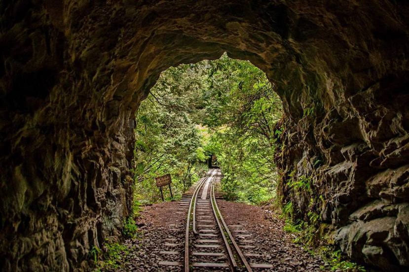 阿里山眠月線原本是高山林業鐵道，因獨特風景地貌，近幾年成為熱門登山路線。 圖／E...