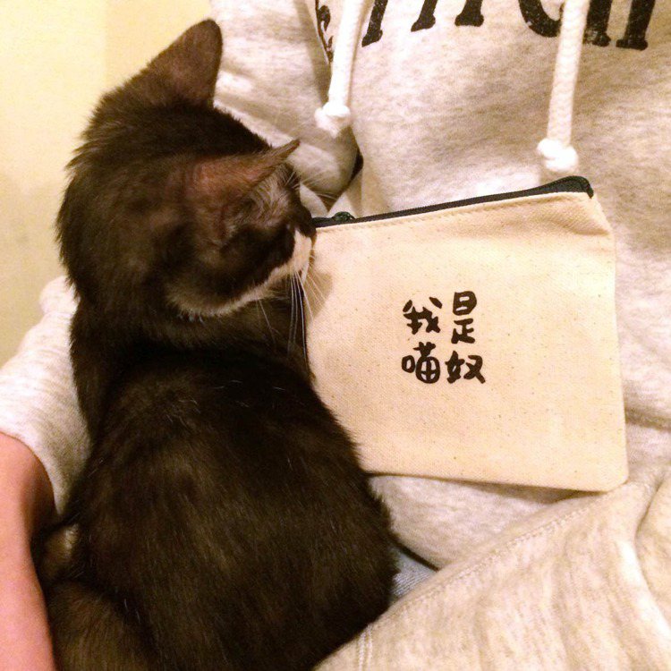 瓜之家の日常｜我是貓奴帆布零錢包。圖／Pinkoi提供