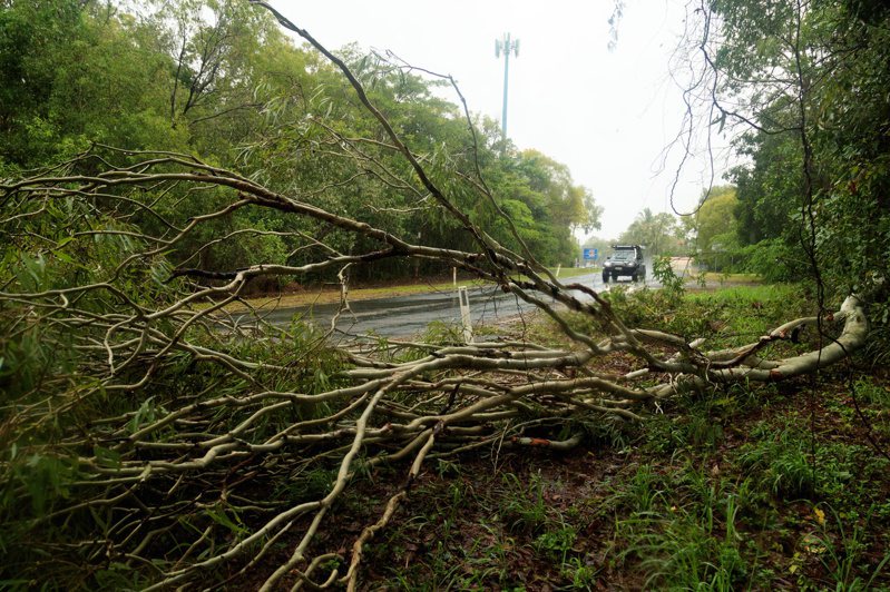 在昆士蘭州首府布里斯本以北約1700公里的凱恩斯是熱門旅遊勝地，昆士蘭州當局表示，凱恩斯部分郊區正經歷嚴重洪患。圖為凱恩斯霍洛威海灘郊區，熱帶氣旋賈斯珀帶來強風後倒下的樹木。歐新社