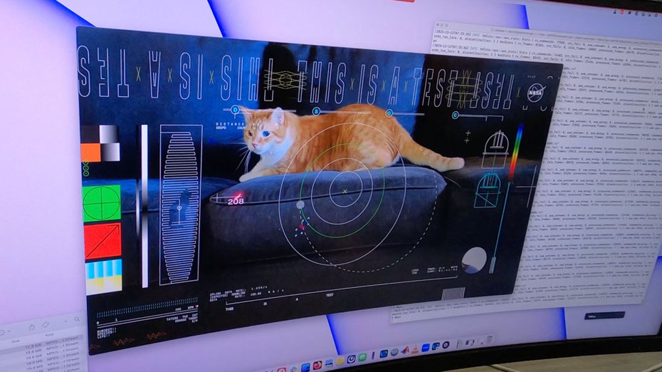 美國太空總署NASA公布太空通訊科技測試影片，一隻橘貓正追逐著雷射筆紅點。（翻攝自NASA）