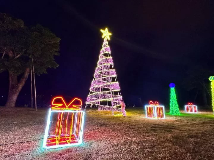 粉色彩帶向上延伸，形塑出2層樓高的聖誕樹，彷彿是周圍的聖誕禮盒施放出的彩帶魔法。...