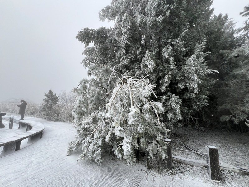 降雪主要在太平山莊與翠峰湖區，今天上午地面積雪約1公分。記者鍾維軒／攝影
