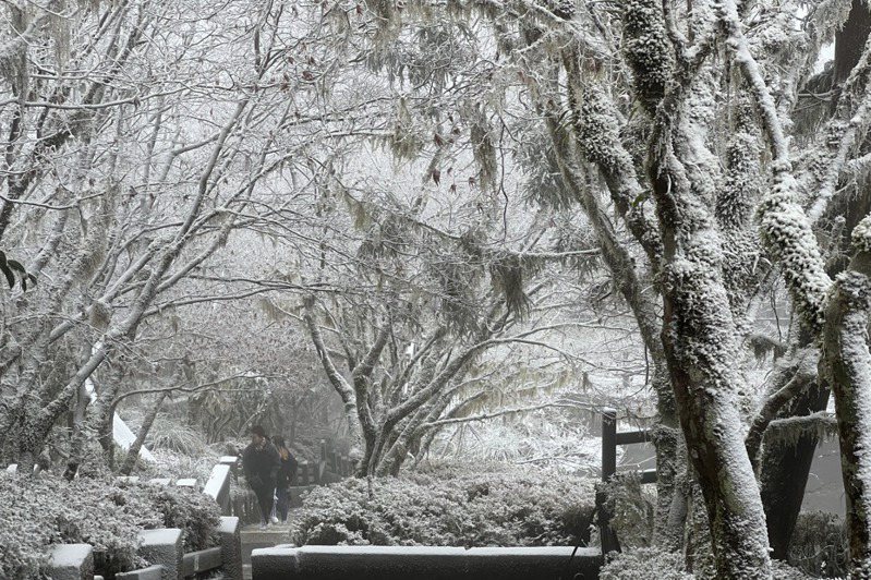 太平山昨夜降雪，以雪白的姿態迎接冬至。本報系資料照