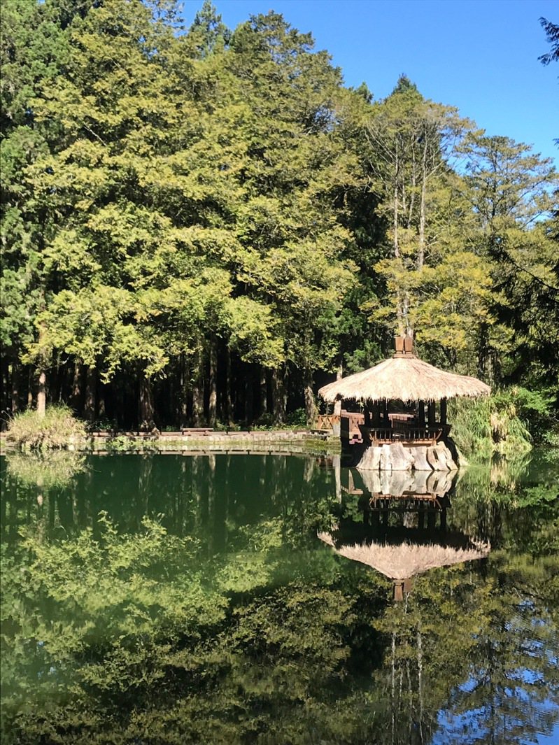阿里山國家森林遊樂區內的姊潭湖心涼亭，是遊客喜愛駐足拍攝的重要景點之一。圖／嘉義分署提供