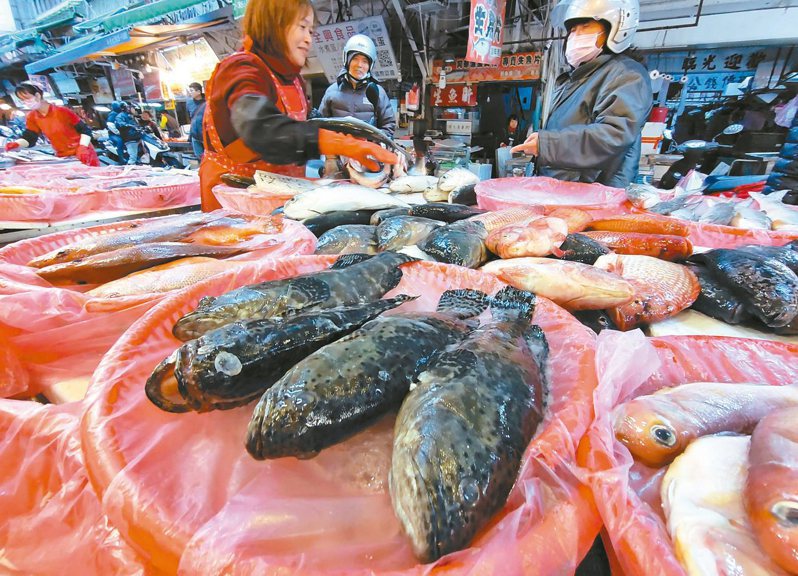 大陸海關總署昨宣布即日起恢復台灣地區石斑魚輸陸，消息一出後，石斑魚進貨成本立即被拉高。記者林澔一／攝影