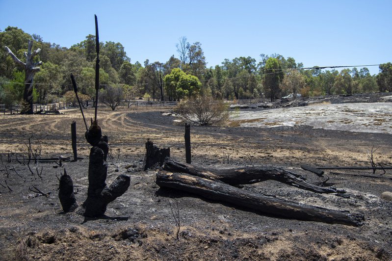 位於南半球的澳洲境內大片國土今天遭遇熱浪，相關當局示警，幅員遼闊的西澳州有許多區域面臨叢林火災的高度風險。圖為西澳州亞州珀斯帕克維爾地區發生叢林大火後，樹木和灌木被燒毀。歐新社
